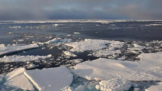 Ocean and Arctic ice. Photo