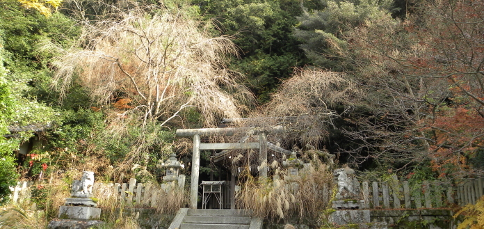 Chinju no mori ved Kyoto. Foto: Aike P. Rots